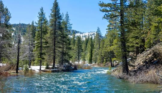 Truckee River